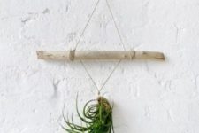 12 twine and a wooden stick air plant holder