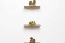 12 wooden planters for small plants can be attached to the wall