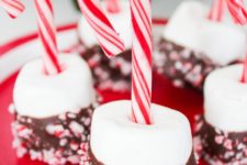 DIY peppermint and chocolate covered marshmallows