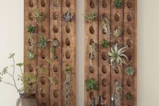 13 wooden boards with holes for displaying air plants