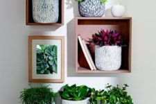 14 wooden crate shelves for displaying plants