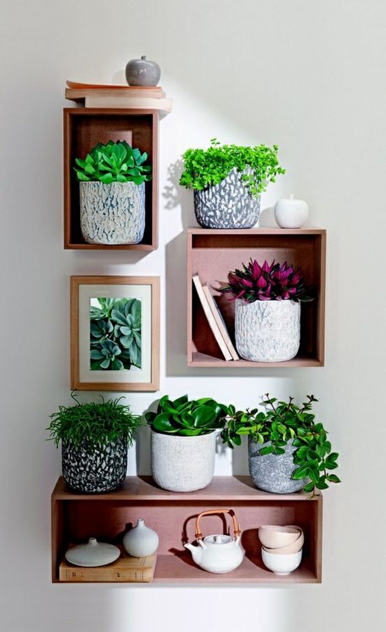 wooden crate shelves for displaying plants
