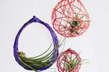 16 coloful yarn spheres with air plants inside
