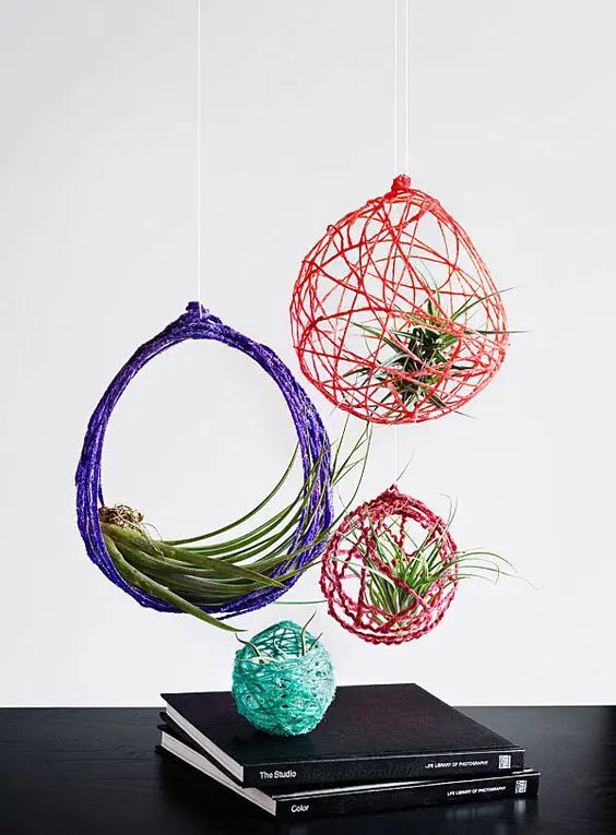 coloful yarn spheres with air plants inside