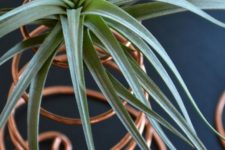 19 copper wire display for air plants