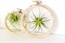 20 embroidery hoops with webs and air plants