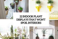 22 indoor plant displays that won’t spoil interiors cover