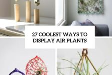 27 coolest ways to display air plants cover