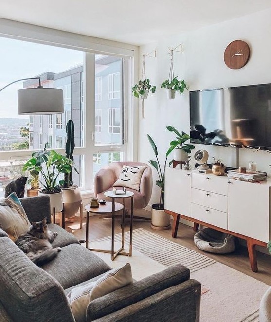 a small boho living room with a grey sofa, a pink chair, a glazed wall, potted plants and a white TV unit