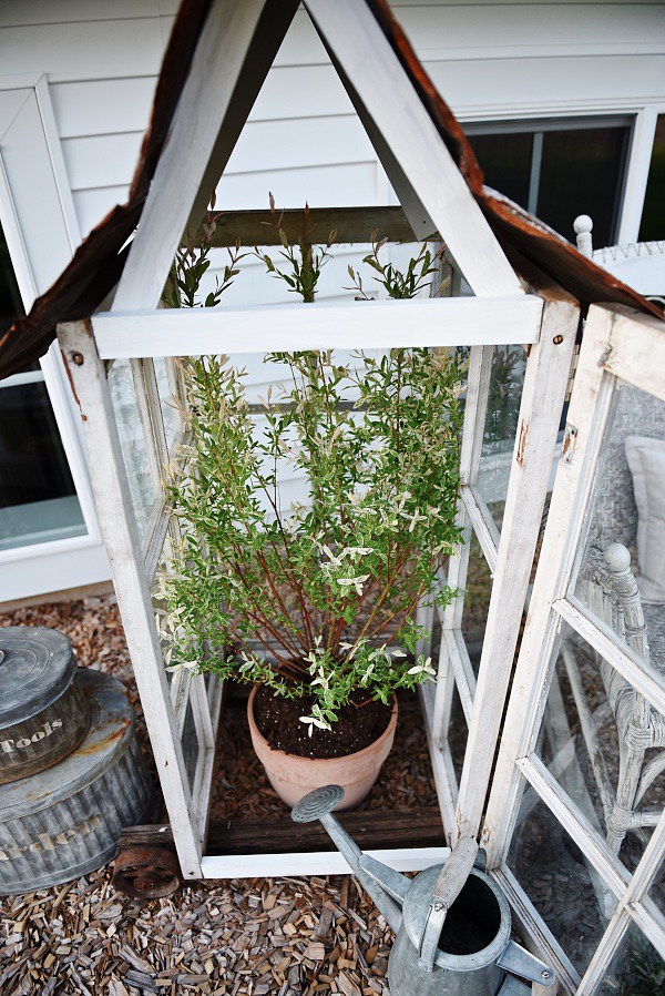 small DIY old window greenhouse (via www.craftsmandrive.com)