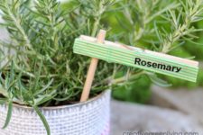 DIY plant markers of clothespins