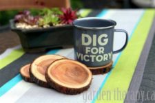 DIY stained wood branch coasters