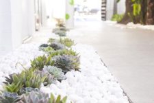 03 beutiful white pebbles with cute succulents look amazing