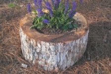 03 turn an old tree sutmp into a cool flower bed or planter outdoors
