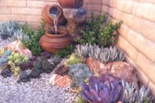 04 cacti and succulent pebble garden design with a fountain