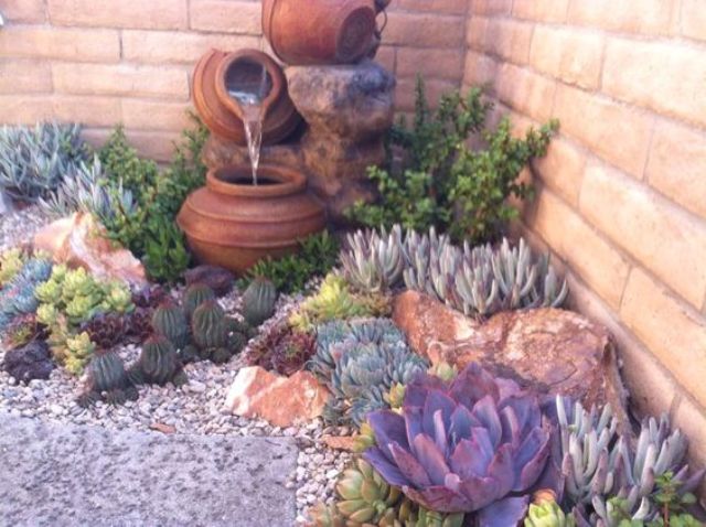 cacti and succulent pebble garden design with a fountain