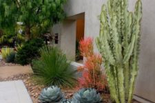 05 oversized cacti and succulent rock garden with a desert feel