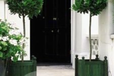 09 a refined black door and bay trees in green pallet wood planters for a contrast