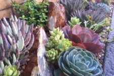 09 cute house trim idea made of succulents and stones – low water and maintenance make it great