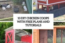 10 diy chicken coops with free plans and tutorials cover