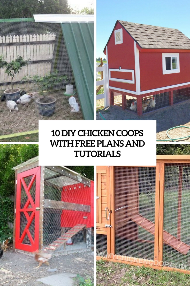 diy chicken coops with free plans and tutorials cover