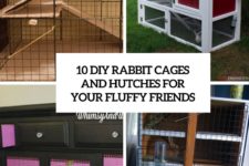 10 diy rabbit cages and hutches for your fluffy friends cover