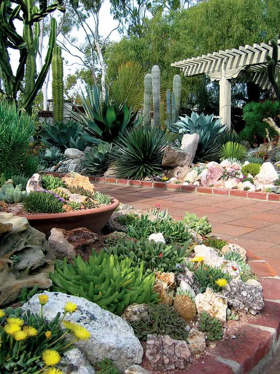 stunning rock garden with lots of types of succulents and cacti