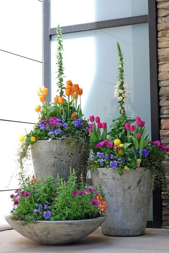 bold spring flowers in matching concrete pots