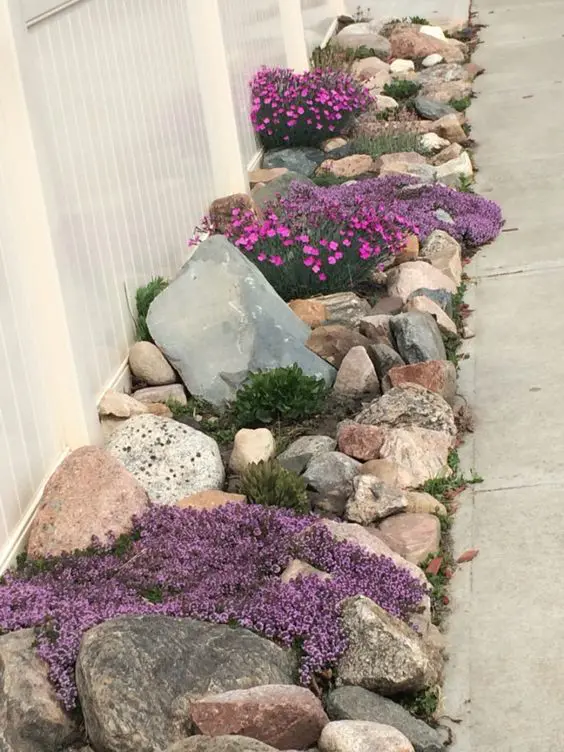 stunning large rock garden with purple flowers of different kinds
