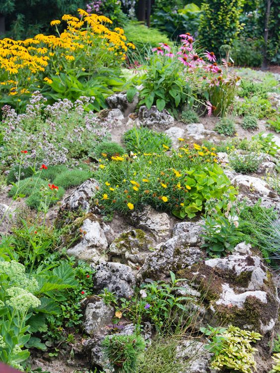 Alpine plants are perfect if you’re pushed for space or want to create a stylish low key area