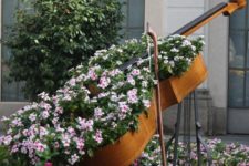 18 creative violin-shaped garden bed looks wow