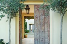 19 Mediterranean entrance with a reclaimed wood door and olive trees in simple pots