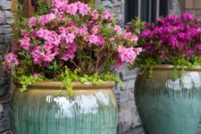 20 oversized glazed pots with bold purple flowers