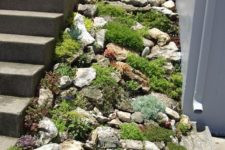20 rock garden with various greenery and moss