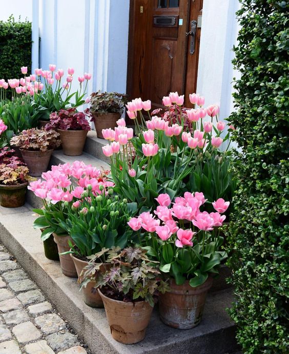A small porch accented with lots of pink blooms and burgundy foliage in pots is a lovely spring inspired space