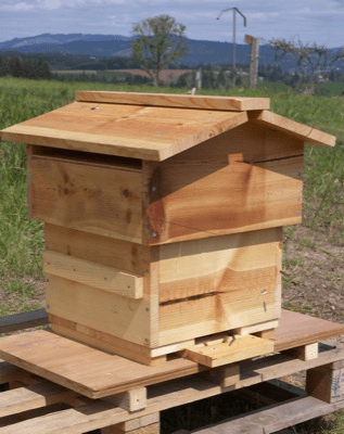 small and economical DIY bee hive (via https:)