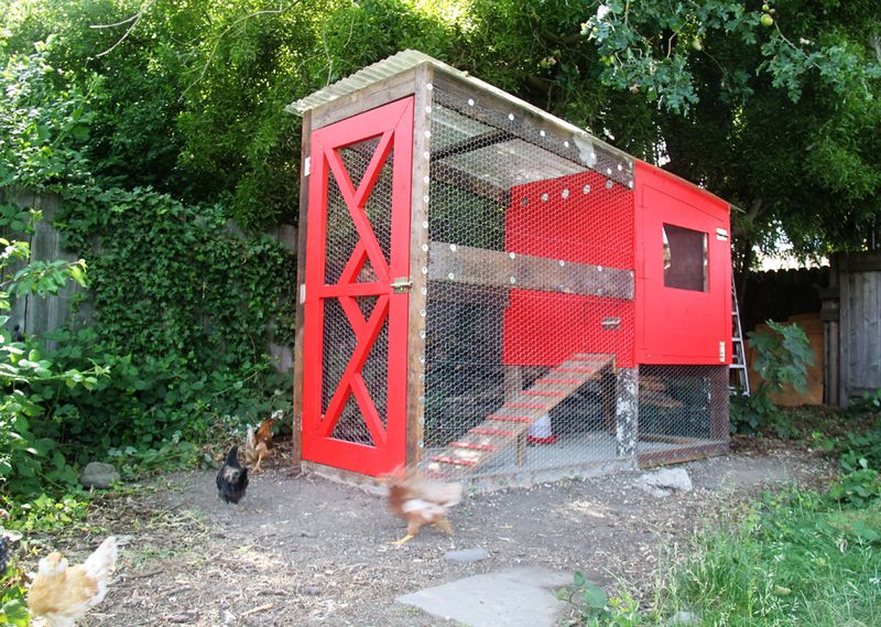 DIY stylish chicken coop with predator protection (via www.smallfriendly.com)
