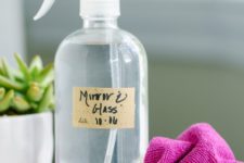 DIY mirror and glass cleaner