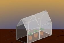 DIY mini greenhouse for indoors