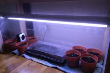DIY indoor greenhouse with pots and containers inside