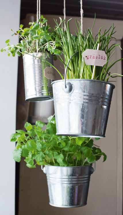 galvanized buckets and cans hung on a porch for a simple herb garden