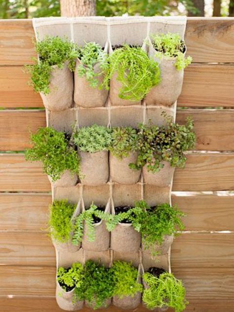 hang an over-the-door shoe holder on a fence and tuck herbs into the compartments for a fun twist on the vertical planter
