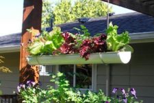 hanging gutter garden for your outdoor space is a simple DIY idea