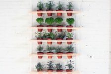 herb garden on wooden planks can be adapted to your window size and needs