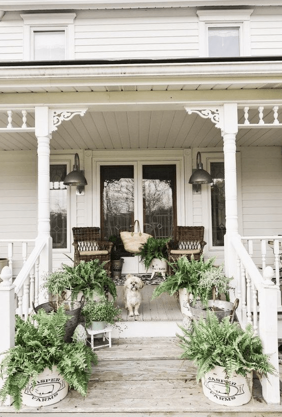 potted greenery in buckets and boxes are all you need to create a fresh spring feel on the porch