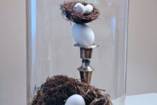 04 a stylish terrarium with two bird’s nests and small eggs