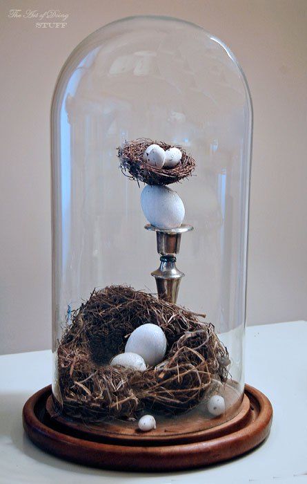 a stylish terrarium with two bird's nests and small eggs