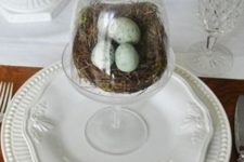 05 classic white plates with a bird nest and speckled eggs in a cloche