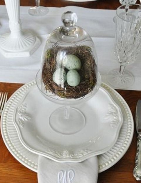 classic white plates with a bird nest and speckled eggs in a cloche
