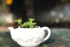 08 small white tea pot planter with succulents